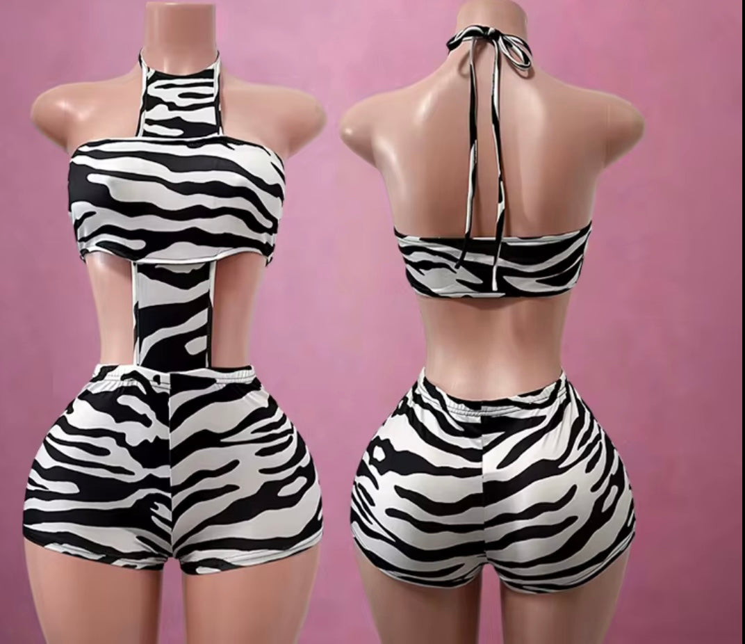 🖤 Zebra Snatch Set 🖤